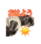 Mちゃんのかわいすぎすたんぷ（個別スタンプ：17）