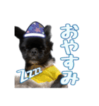 Mちゃんのかわいすぎすたんぷ（個別スタンプ：18）