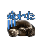 Mちゃんのかわいすぎすたんぷ（個別スタンプ：19）