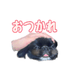 Mちゃんのかわいすぎすたんぷ（個別スタンプ：21）