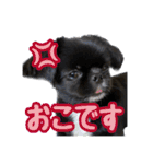 Mちゃんのかわいすぎすたんぷ（個別スタンプ：23）