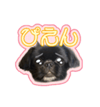 Mちゃんのかわいすぎすたんぷ（個別スタンプ：25）