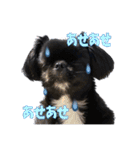 Mちゃんのかわいすぎすたんぷ（個別スタンプ：31）