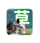Mちゃんのかわいすぎすたんぷ（個別スタンプ：33）