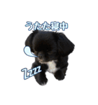 Mちゃんのかわいすぎすたんぷ（個別スタンプ：38）