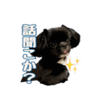 Mちゃんのかわいすぎすたんぷ（個別スタンプ：40）