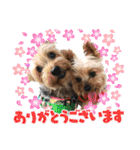 ビスともなか（個別スタンプ：1）