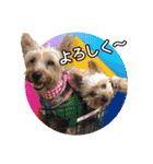 ビスともなか（個別スタンプ：3）
