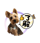 ビスともなか（個別スタンプ：4）