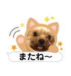 ビスともなか（個別スタンプ：9）