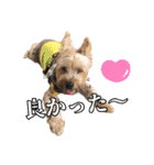 ビスともなか（個別スタンプ：12）