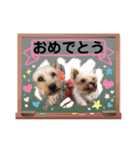 ビスともなか（個別スタンプ：13）