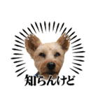 ビスともなか（個別スタンプ：14）
