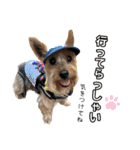 ビスともなか（個別スタンプ：16）