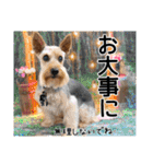 ビスともなか（個別スタンプ：22）