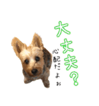 ビスともなか（個別スタンプ：23）