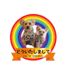 ビスともなか（個別スタンプ：28）