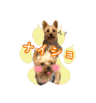 ビスともなか（個別スタンプ：30）