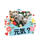 ビスともなか（個別スタンプ：31）