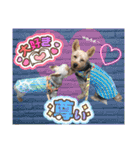 ビスともなか（個別スタンプ：32）
