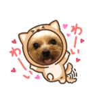ビスともなか（個別スタンプ：35）