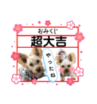 ビスともなか（個別スタンプ：39）