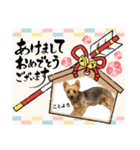 ビスともなか（個別スタンプ：40）