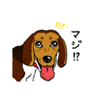 ラティ・ビーグル犬・スタンプ（個別スタンプ：9）