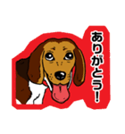 ラティ・ビーグル犬・スタンプ（個別スタンプ：11）