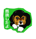 ラティ・ビーグル犬・スタンプ（個別スタンプ：22）