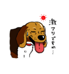 ラティ・ビーグル犬・スタンプ（個別スタンプ：25）