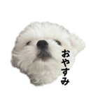 もあこむ（個別スタンプ：7）