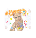 我が家のにゃんにゃん三重奏2（個別スタンプ：22）