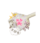 我が家のにゃんにゃん三重奏2（個別スタンプ：23）