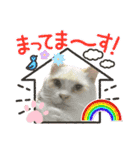我が家のにゃんにゃん三重奏2（個別スタンプ：30）