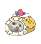 我が家のにゃんにゃん三重奏2（個別スタンプ：31）