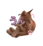 我が家のにゃんにゃん三重奏2（個別スタンプ：35）