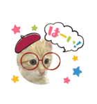 我が家のにゃんにゃん三重奏2（個別スタンプ：36）