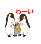 【修正版】ペンギンのヒナ 家族向け（個別スタンプ：34）
