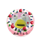 天然ペンギン❣️笑えるスタンプ❣️（個別スタンプ：6）