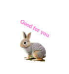 ウサギ rabbit（個別スタンプ：13）