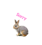 ウサギ rabbit（個別スタンプ：29）