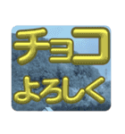 木之本レールの北海道スタンプ（冬）（個別スタンプ：19）