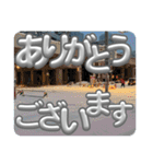 木之本レールの北海道スタンプ（冬）（個別スタンプ：20）