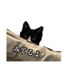 おかしな猫_ユキ（個別スタンプ：4）