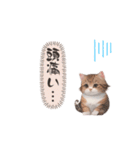 猫ちゃんのシンプルなスタンプです（個別スタンプ：2）