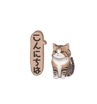 猫ちゃんのシンプルなスタンプです（個別スタンプ：6）