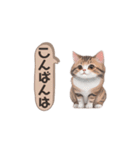 猫ちゃんのシンプルなスタンプです（個別スタンプ：7）