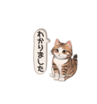 猫ちゃんのシンプルなスタンプです（個別スタンプ：11）