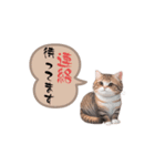 猫ちゃんのシンプルなスタンプです（個別スタンプ：16）